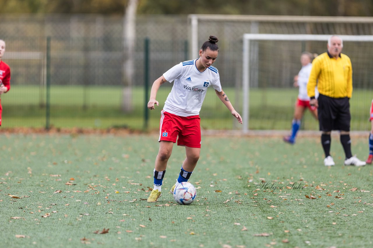 Bild 250 - F Hamburger SV 3 - Walddoerfer SV 2 : Ergebnis: 5:2